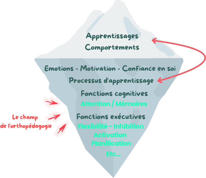 Iceberg de l'orthopédagogie : au-dessus de l'eau les apprentissages et comportements ; en dessous les émotions, la motivation, la confiance en soi, les processus d'apprentissage, les fonctions cognitives (attention, mémoires) et les fonctions exécutives (flexibilité, inhibition, activation, planification).